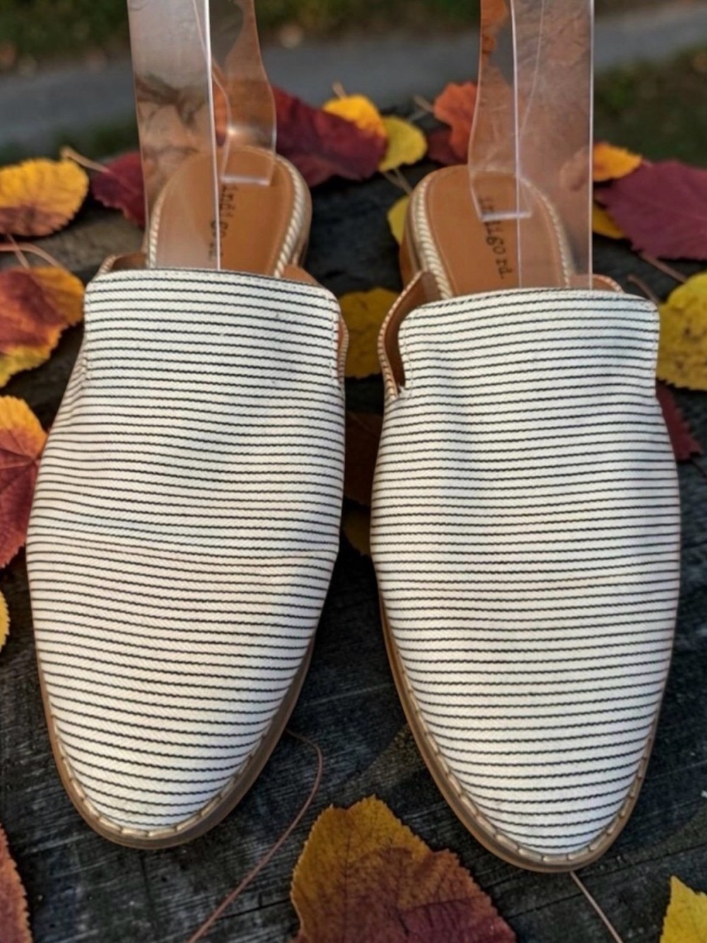 Indigo Rd Hayze Ivory and black stripe slip On canvas Upper mules Sz 9M